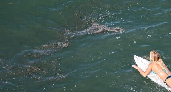 تسرب نفطي هائل ضرب سواحل مقاطعة أورانج بولاية كاليفورنيا، الولايات المتحدة الأمريكية 3 أكتوبر 2021 - سبوتنيك عربي