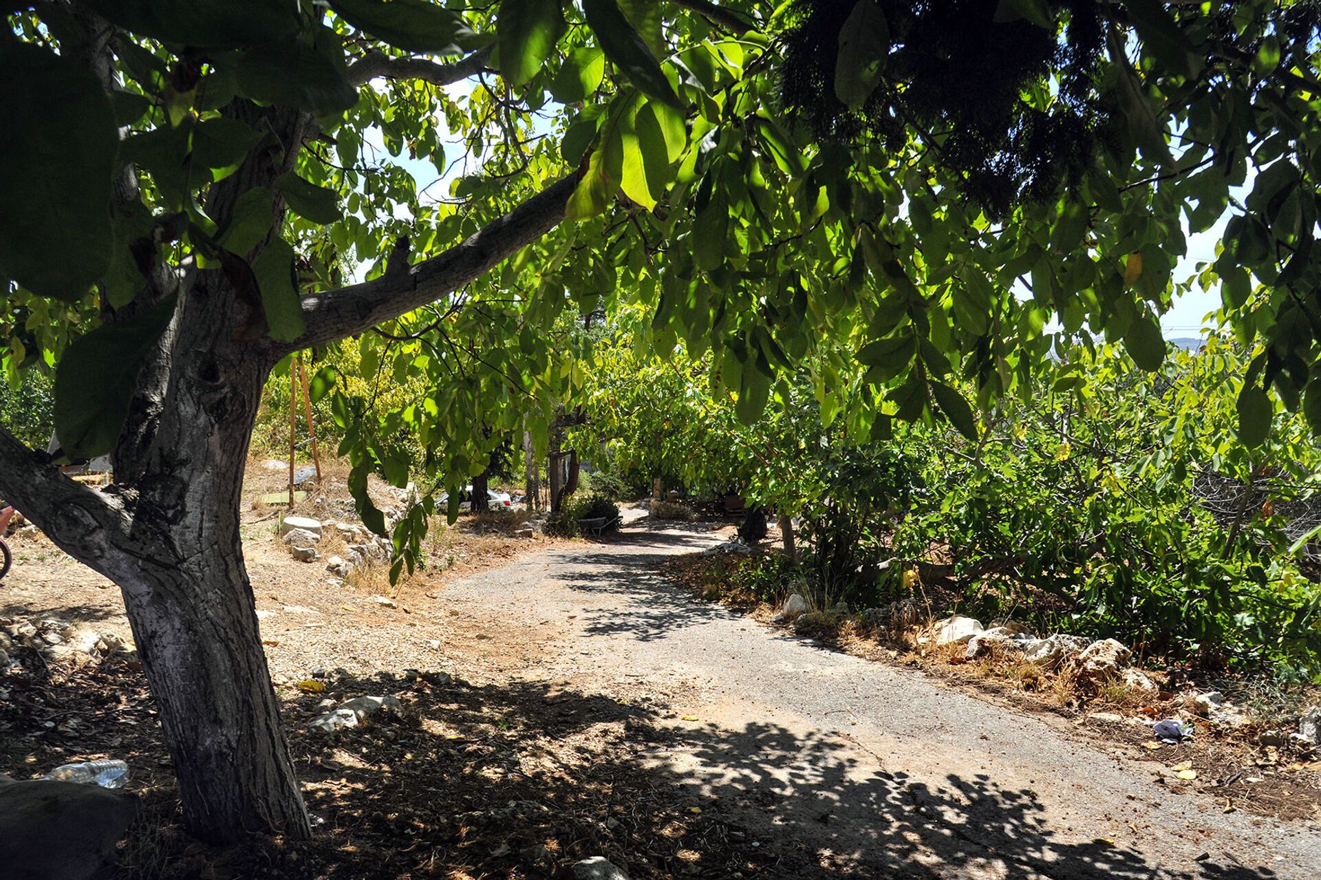 فنانة تشكيلية تعيد إحياء أصالة الريف السوري وتحوّل منزلها للوحة فنية، اللاذقية، سوريا - سبوتنيك عربي, 1920, 23.11.2021