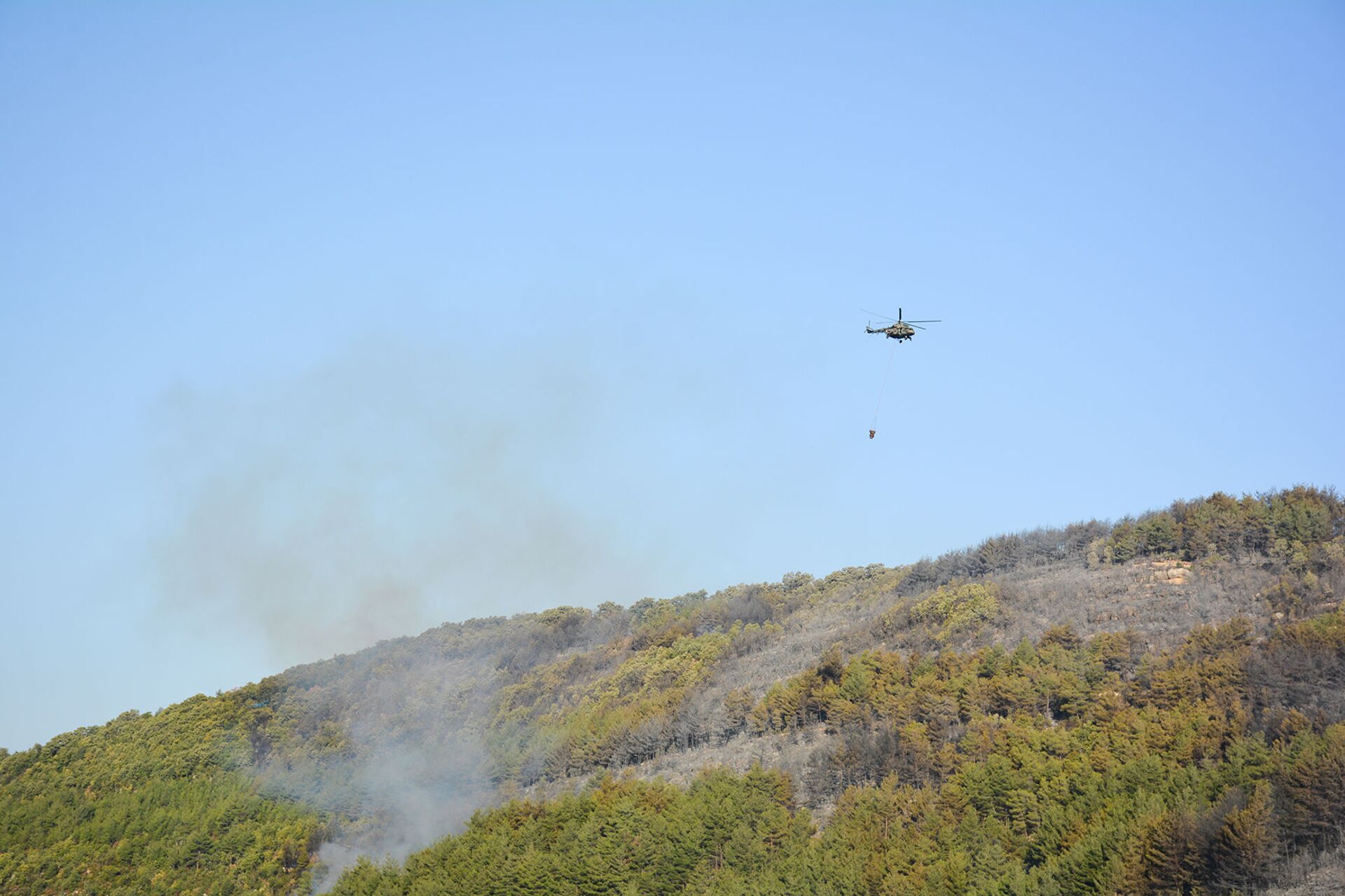 حرائق اللاذقية 8-9 أكتوبر/تشرين الأول - سوريا حرائق اللاذقية 8-9 أكتوبر/تشرين الأول - سوريا - سبوتنيك عربي, 1920, 23.11.2021