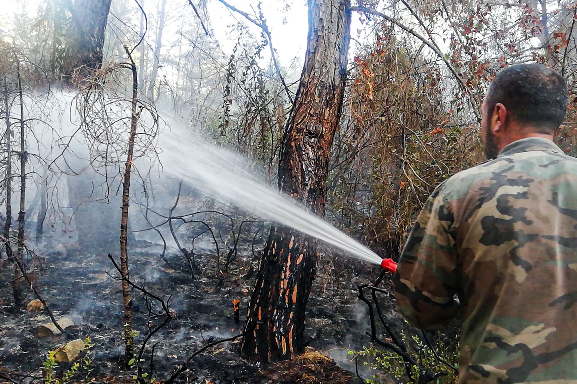 حرائق اللاذقية 8-9 أكتوبر/تشرين الأول - سوريا حرائق اللاذقية 8-9 أكتوبر/تشرين الأول - سوريا - سبوتنيك عربي, 1920, 23.11.2021
