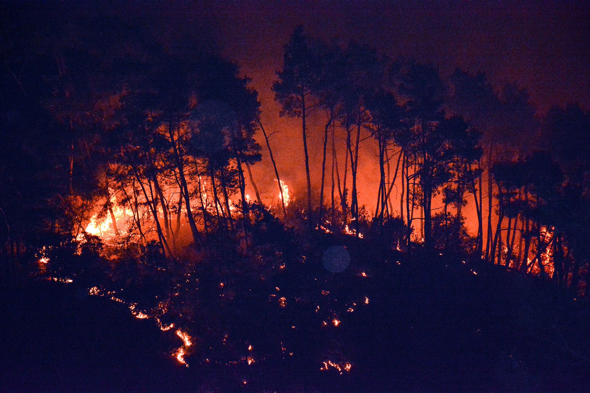 حرائق اللاذقية 8-9 أكتوبر/تشرين الأول - سوريا حرائق اللاذقية 8-9 أكتوبر/تشرين الأول - سوريا - سبوتنيك عربي, 1920, 23.11.2021