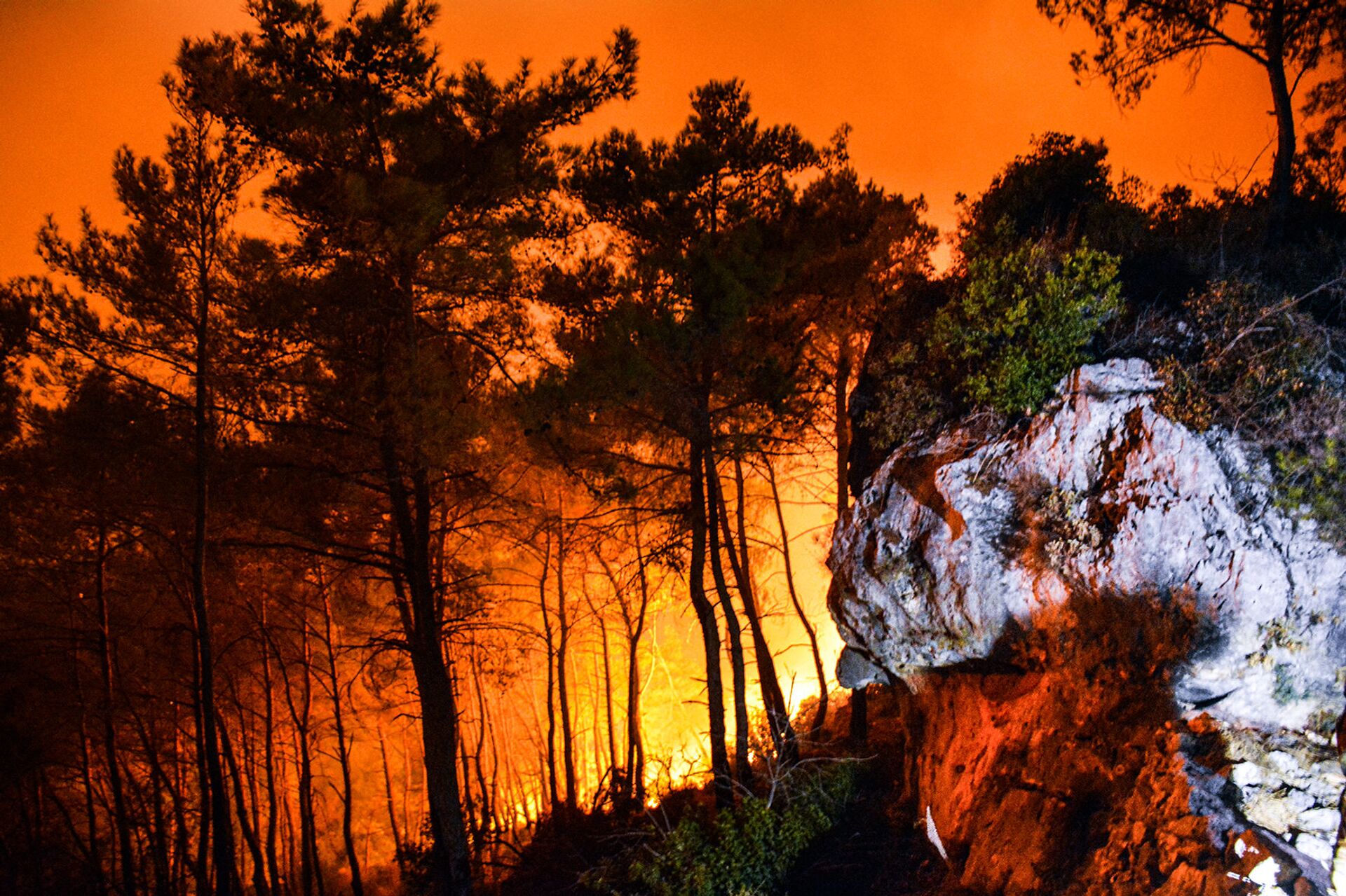 حرائق اللاذقية 8-9 أكتوبر/تشرين الأول - سوريا حرائق اللاذقية 8-9 أكتوبر/تشرين الأول - سوريا - سبوتنيك عربي, 1920, 23.11.2021