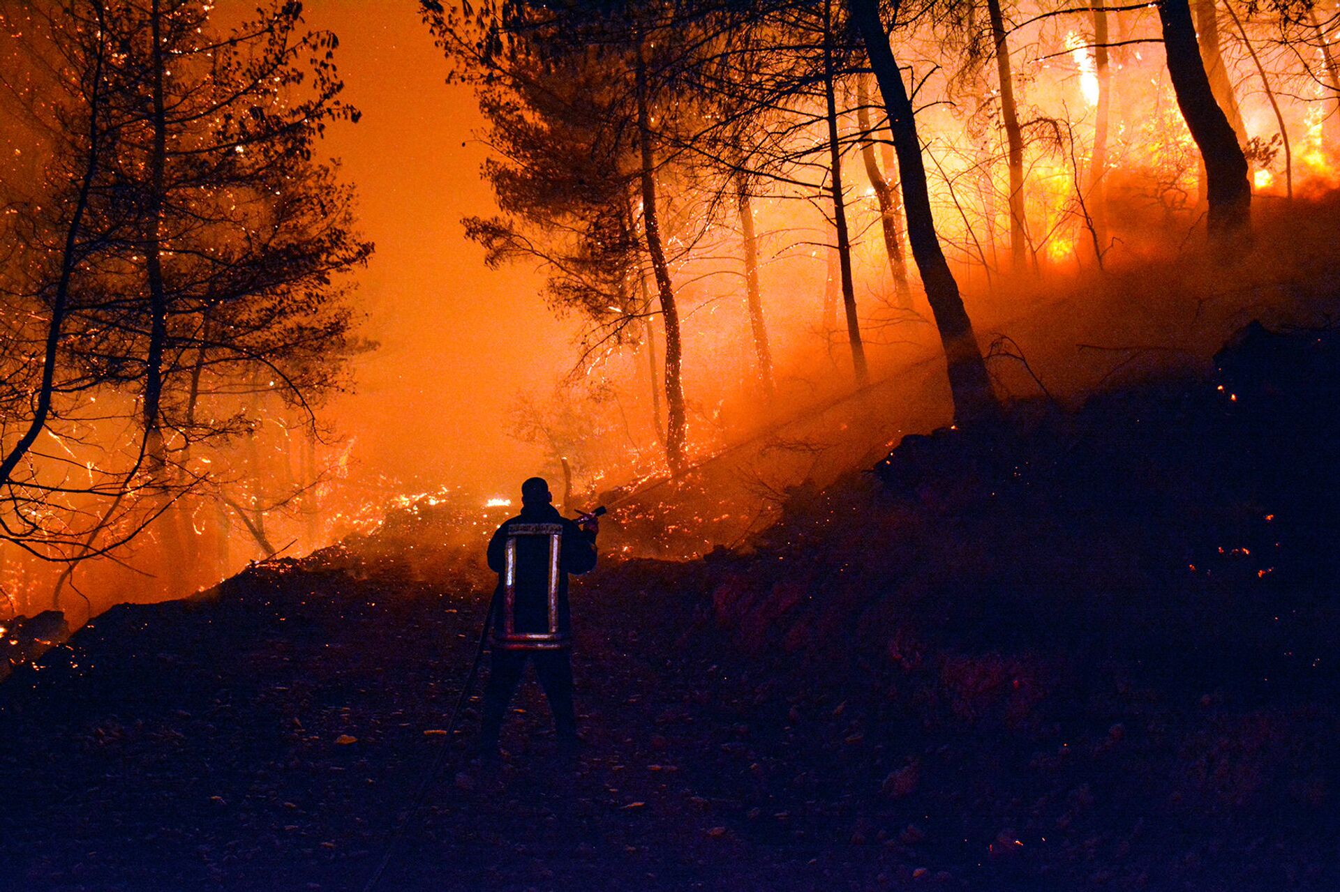 حرائق اللاذقية 8-9 أكتوبر/تشرين الأول - سوريا حرائق اللاذقية 8-9 أكتوبر/تشرين الأول - سوريا - سبوتنيك عربي, 1920, 23.11.2021