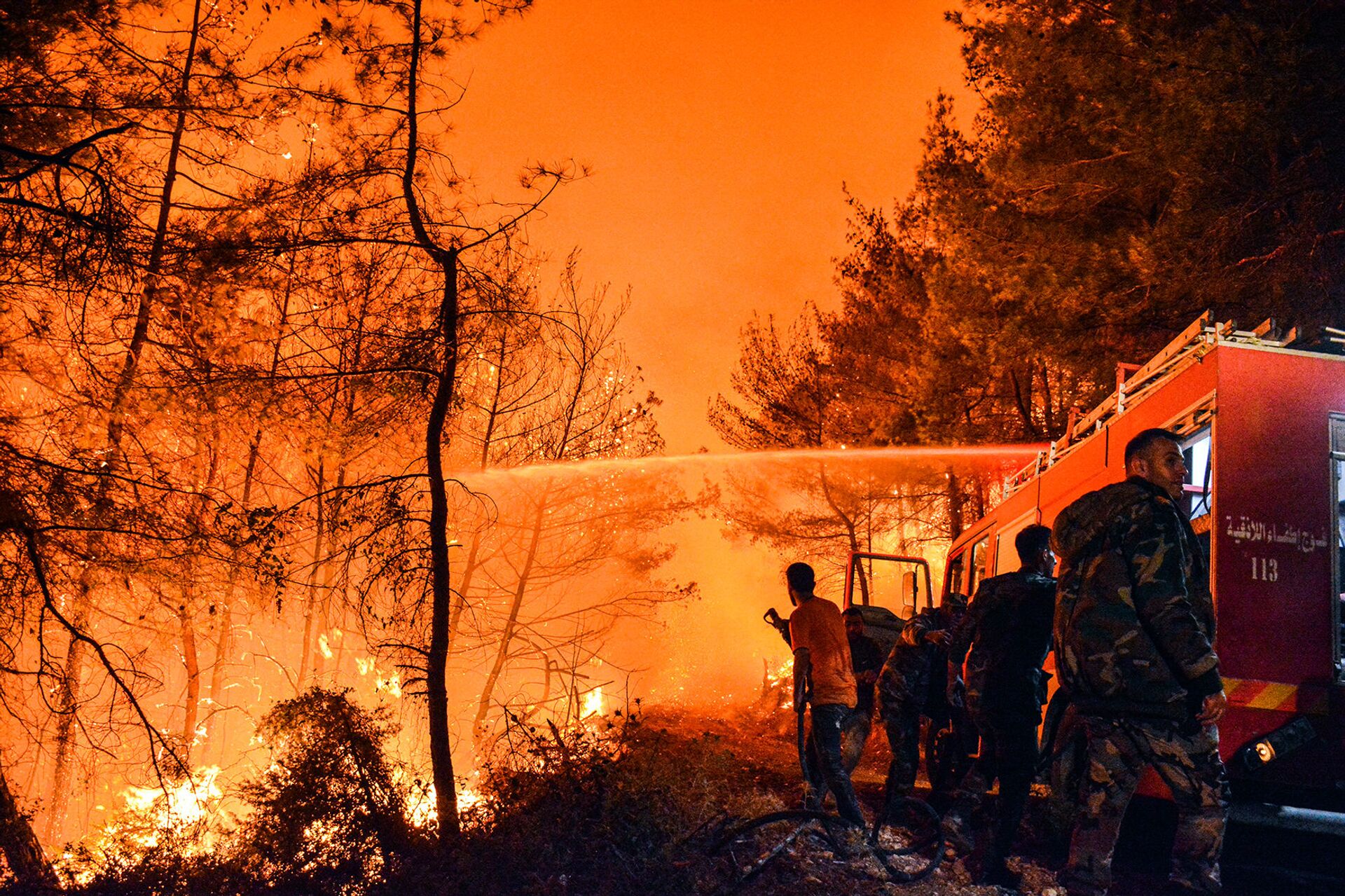 حرائق اللاذقية 8-9 أكتوبر/تشرين الأول - سوريا حرائق اللاذقية 8-9 أكتوبر/تشرين الأول - سوريا - سبوتنيك عربي, 1920, 23.11.2021