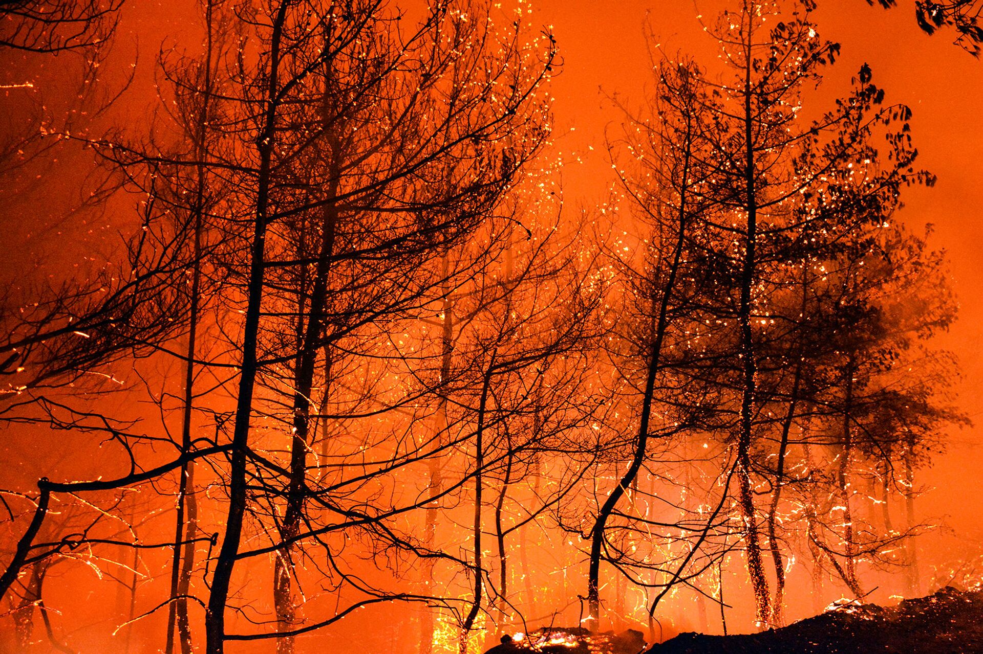 حرائق اللاذقية 8-9 أكتوبر/تشرين الأول - سوريا حرائق اللاذقية 8-9 أكتوبر/تشرين الأول - سوريا - سبوتنيك عربي, 1920, 23.11.2021