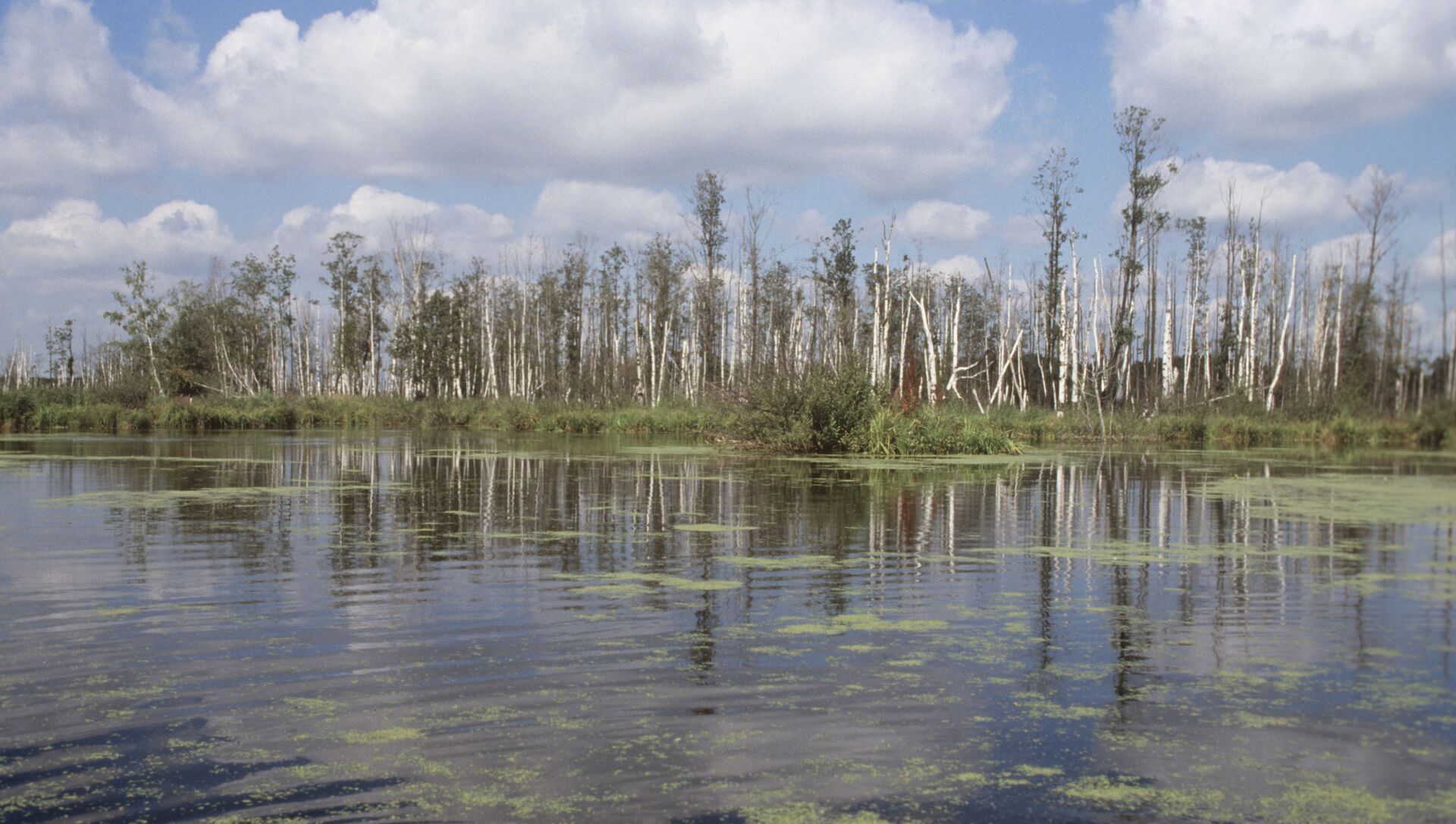 لوسيني أوسترف ضواحي موسكو - سبوتنيك عربي, 1920, 24.10.2021