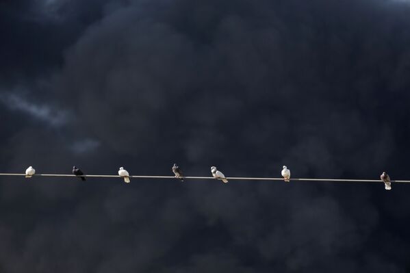  حريق يشتعل في صهريج الوقود في الزهراني، ميناء صيدا جنوبي لبنان، 11 أكتوبر 2021 - سبوتنيك عربي
