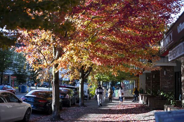الخريف في كندا - سبوتنيك عربي