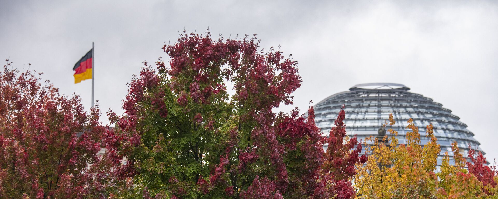 تتزين الأشجار بألوان زاهية أمام مبنى الرايخستاغ حيث يرفرف العلم الألماني، بينما الخريف في برلين، ألمانيا 12 أكتوبر 2021. - سبوتنيك عربي, 1920, 26.08.2022