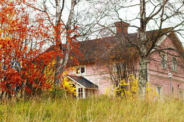 الخريف في السويد. - سبوتنيك عربي