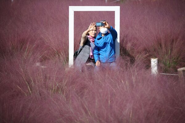 شخصان يلتقطان صورة على خلفية حقل العشب المهلي وردي اللون في حديقة وسط وباء فيروس كورونا (كوفيد-19) في هانام، كوريا الجنوبية ، 18 أكتوبر 2021. - سبوتنيك عربي