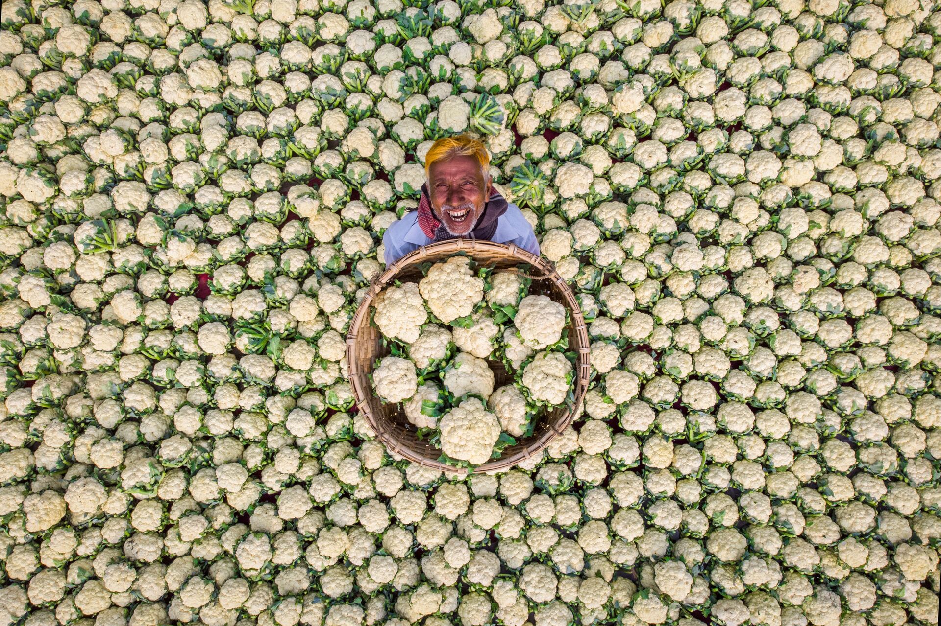 صورة المزارع السعيد، المصور البنغلاديشي رافيد يسار، الحاصل على تقدير  لجنة التحكيم في كوكبي، صورة واحدة في مسابقة أندريه ستينين للتصوير الصحفي الدولي - سبوتنيك عربي, 1920, 23.11.2021