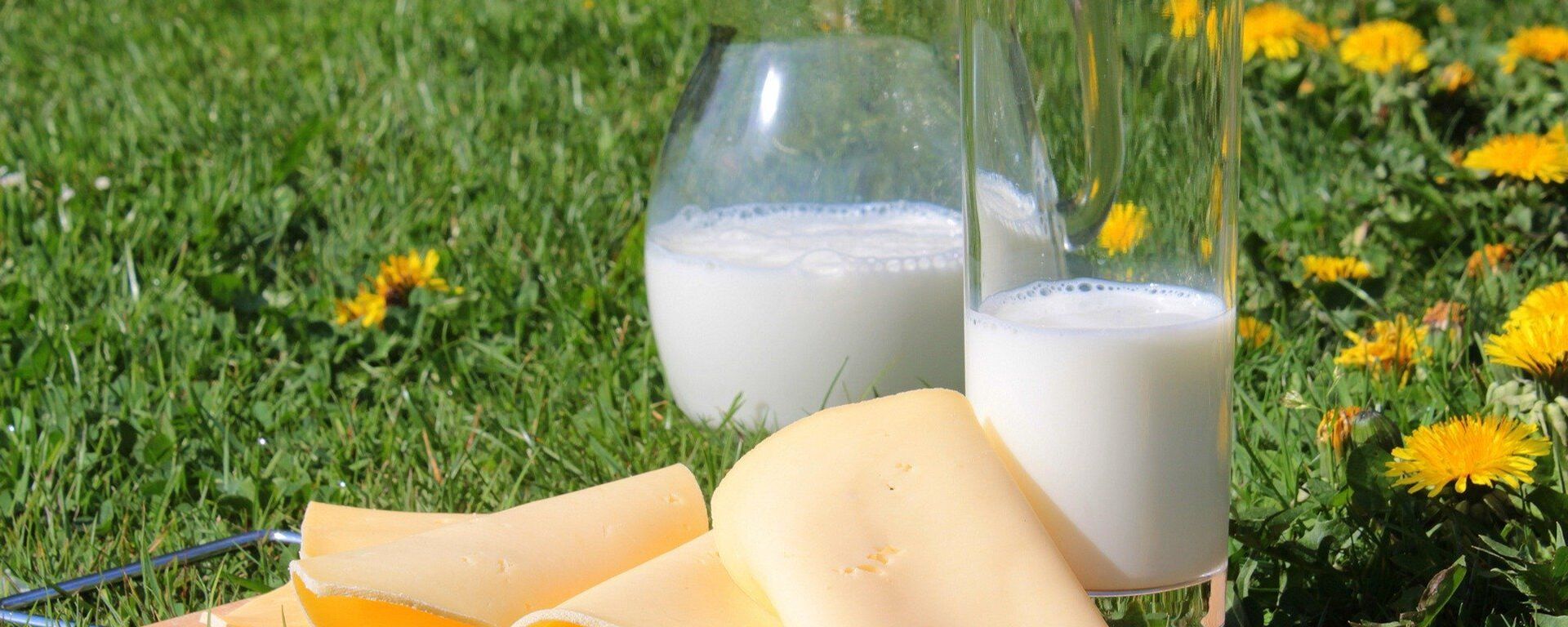 منتجات ألبان منتجات ألبان - سبوتنيك عربي, 1920, 06.08.2025