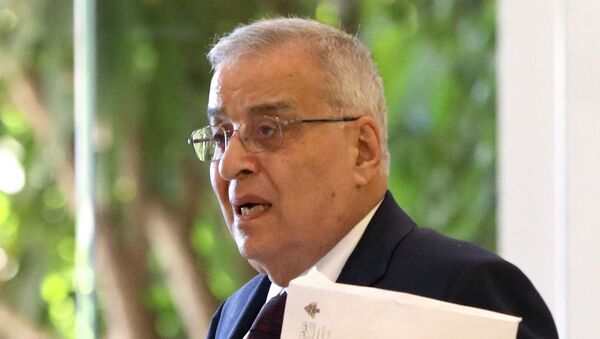 وزير الخارجية اللبناني، عبد الله بو حبيب - سبوتنيك عربي