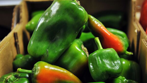 فلفل أخضر - سبوتنيك عربي