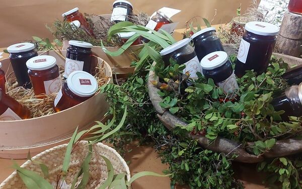 تونسية تترك عالم تصميم الأزياء وتمتهن تربية النحل وصناعة العسل في الجبال - سبوتنيك عربي