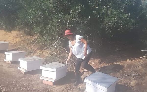 تونسية تترك عالم تصميم الأزياء وتمتهن تربية النحل وصناعة العسل في الجبال - سبوتنيك عربي