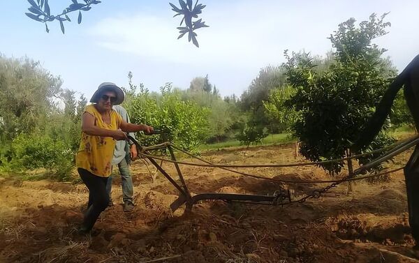 تونسية تترك عالم تصميم الأزياء وتمتهن تربية النحل وصناعة العسل في الجبال - سبوتنيك عربي