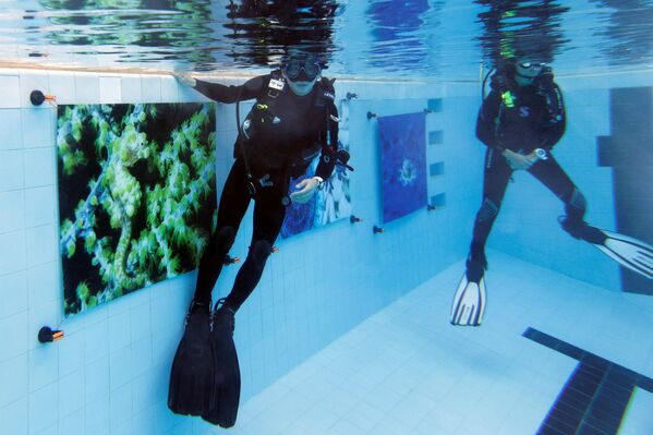 غواصون يضعون صوراً في بركة سباحة خلال معرض للصور للترويج لمواقع الغوص الشهيرة في تايوان، وسط حظر السفر بسبب تفشي فيروس كورونا (كوفيد-19)، في هونغ كونغ، الصين، 6 نوفمبر 2021. - سبوتنيك عربي