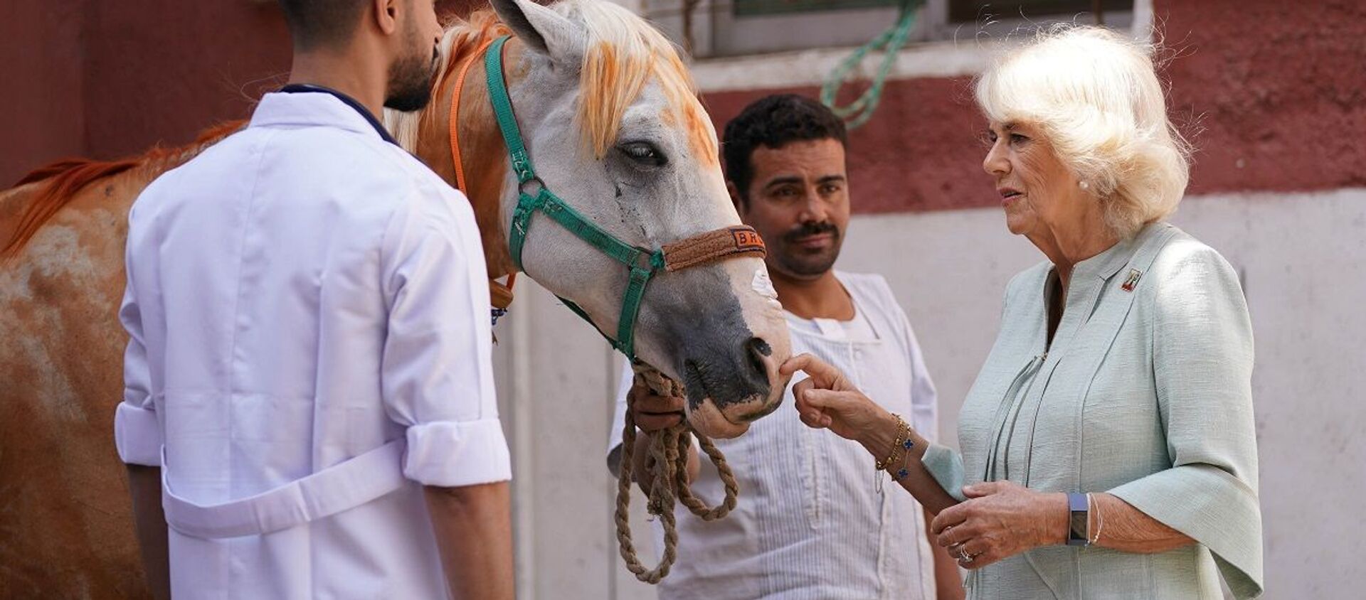 زوجة الأمير تشارلز، الدوقة كاميلا، دوقة كورنوول - سبوتنيك عربي, 1920, 19.11.2021