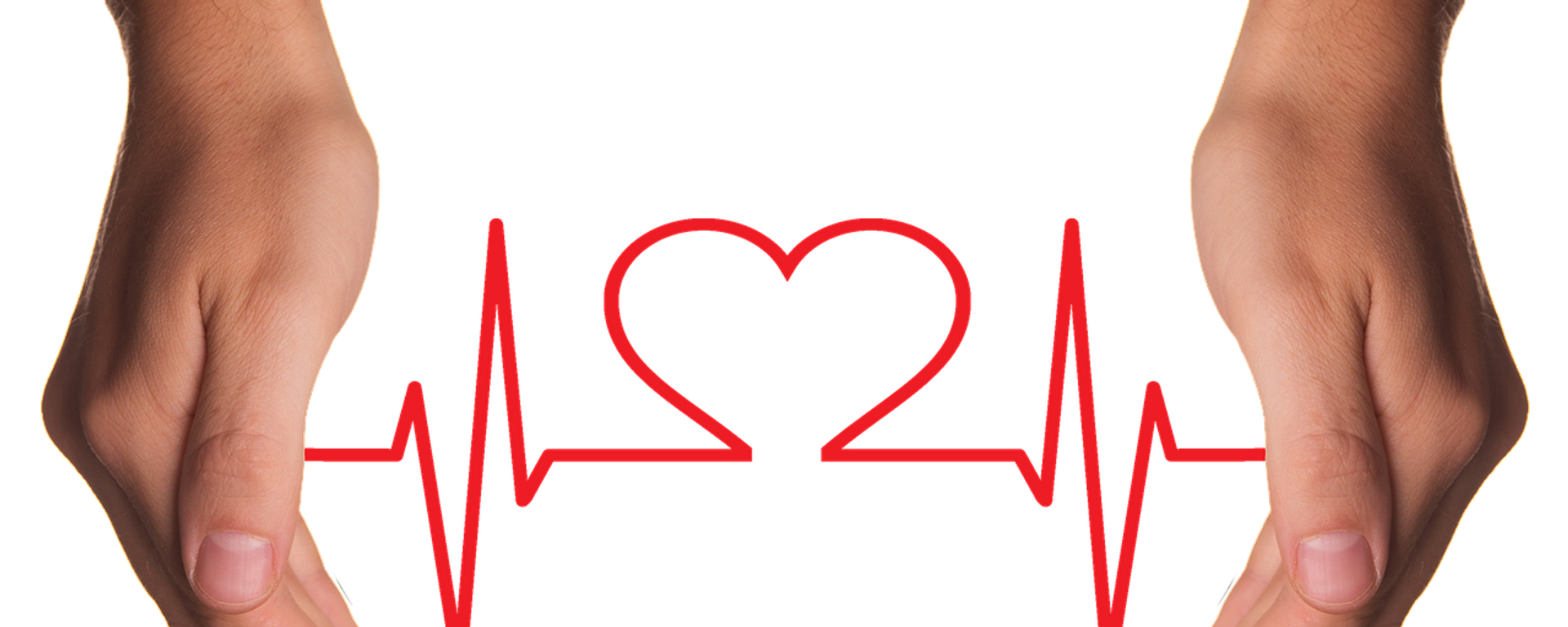 صحة القلب والضغط - سبوتنيك عربي, 1920, 09.09.2025