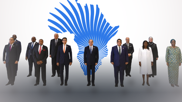 ما دور منظمة الكوميسا - سبوتنيك عربي