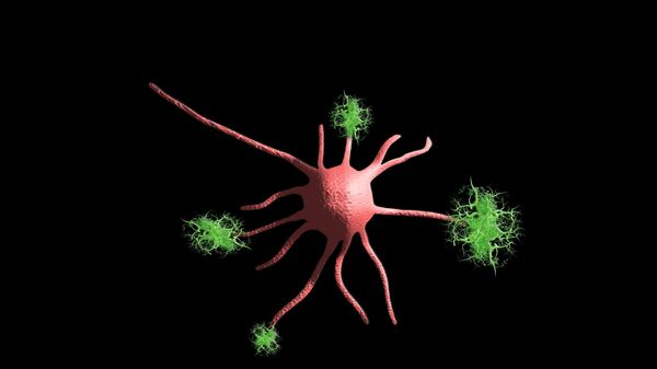 خلايا تتمدد وترتبط بألياف عصبية  - سبوتنيك عربي