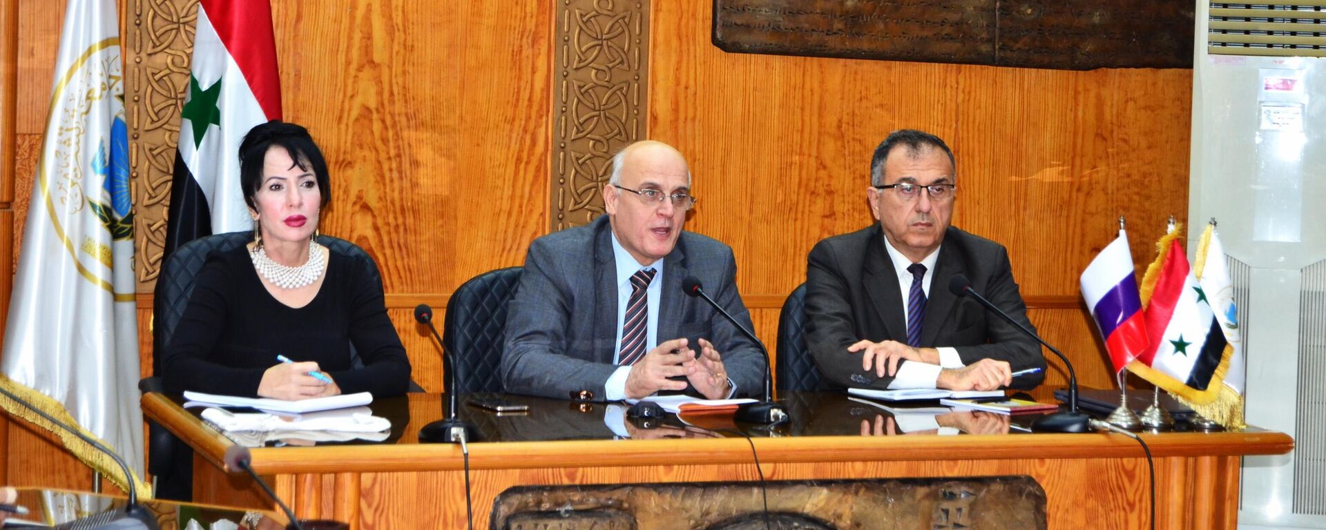 مقترح لإنشاء مركز أبحاث إعمار سوريا بالتعاون بين جامعتي بيلغورود وتشرين - سبوتنيك عربي, 1920, 01.12.2021