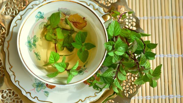 شاي النعناع  - سبوتنيك عربي