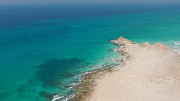 سقطرى الجزيرة المقدسة في قلب المحيط الهندي - سبوتنيك عربي