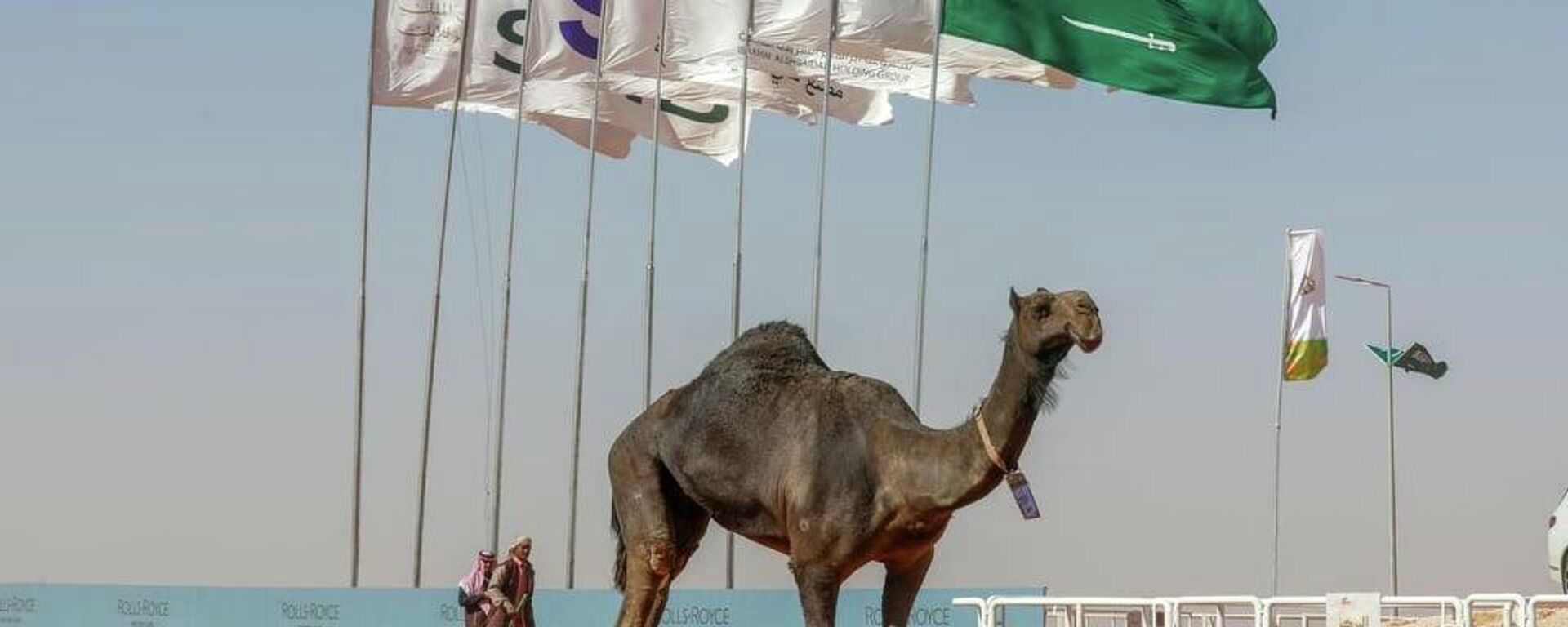 مشاركة المرأة لأول مرة في مسابقة ملكة جمال الإبل في السعودية - سبوتنيك عربي, 1920, 10.05.2022