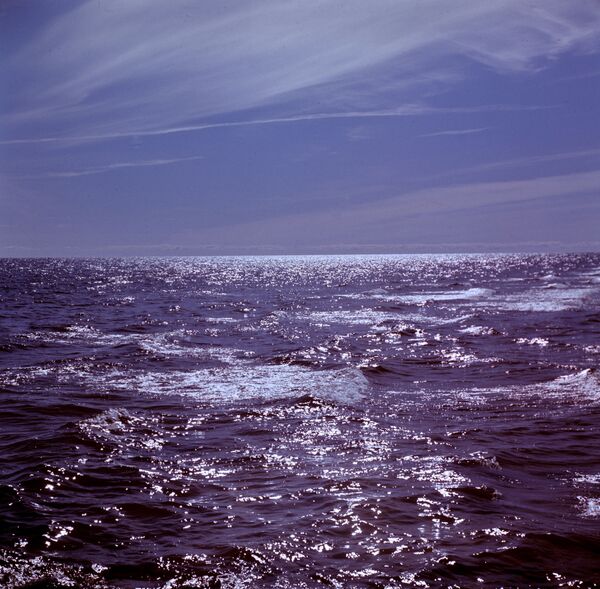 سماء أرجوانية في بحر البلطيق - سبوتنيك عربي