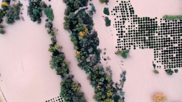 تم التقاط الصورة بطائرة بدون طيار: الأشجار الخضراء وسط منطقة غمرتها المياه، بعد أن فاض نهر ألفيوس على ضفافه بسبب العواصف الشديدة في أولمبيا القديمة، اليونان، 12 ديسمبر 2021. - سبوتنيك عربي