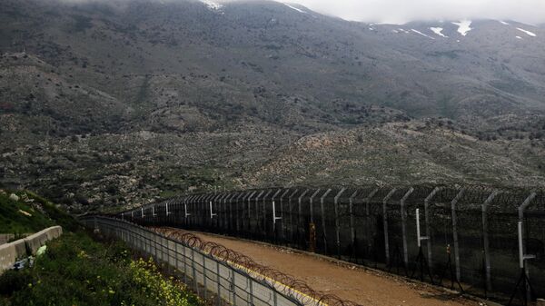 مرتفعات هضبة الجولان، الحدود بين سوريا و إسرائيل، 25 مارس 2019 - سبوتنيك عربي
