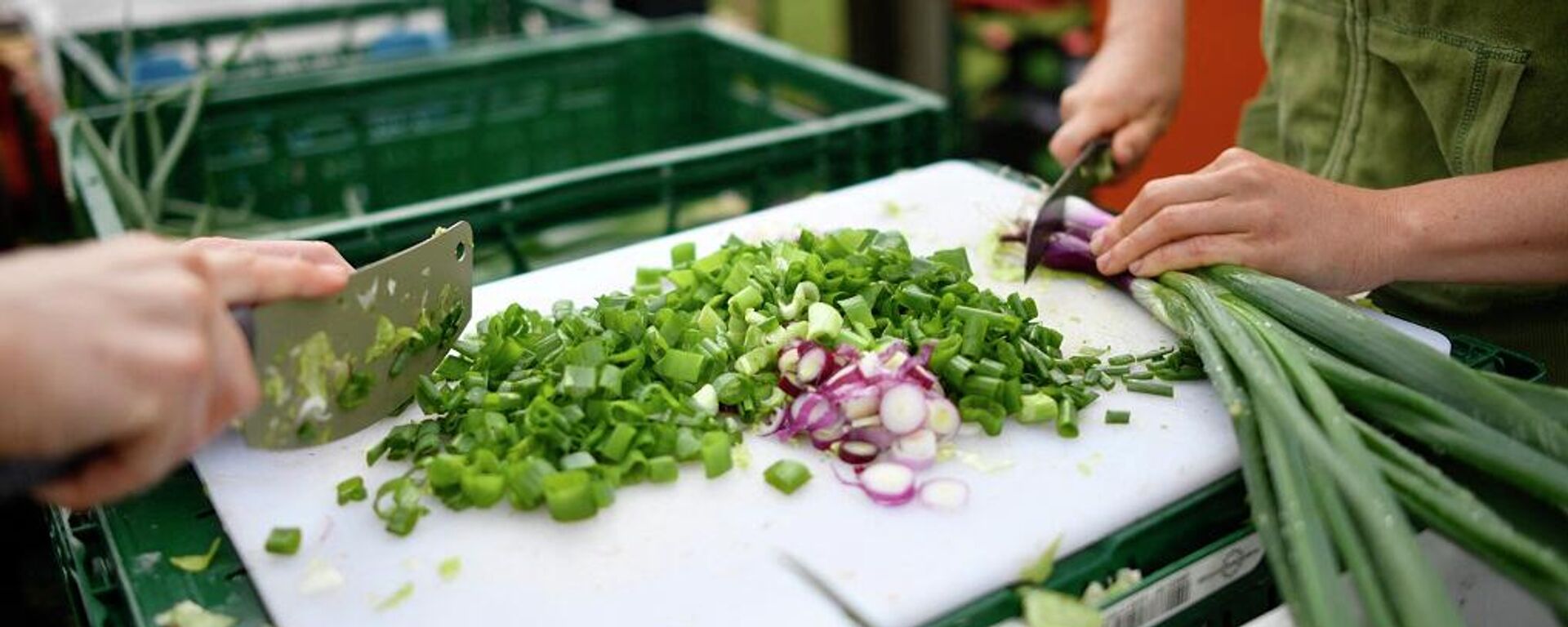 بصل أخضر - سبوتنيك عربي, 1920, 26.01.2022