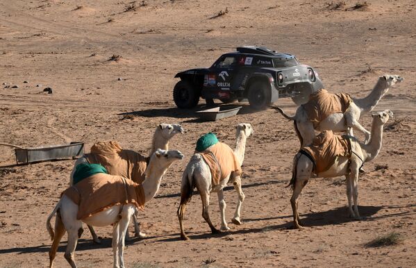 يتنافس سائق ميني جاكوب برزيغونسكي من بولندا ومساعده الألماني تيمو جوتشالك خلال المرحلة السابعة من رالي داكار السعودية 2022 بين الرياض والدوادمي ، في 9 يناير 2022. - سبوتنيك عربي