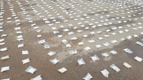 ضبط شحنة كبتاغون ضخمة قرب الحدود الأردنية - سبوتنيك عربي