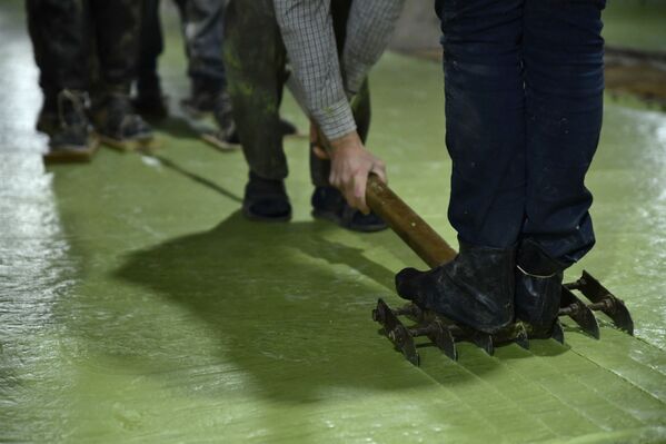 عمال سوريون يقطعون صابون الغار في مصنع الجبيلي للصابون، الواقع في مدينة حلب القديمة شمال سوريا، 24 يناير 2022. - سبوتنيك عربي