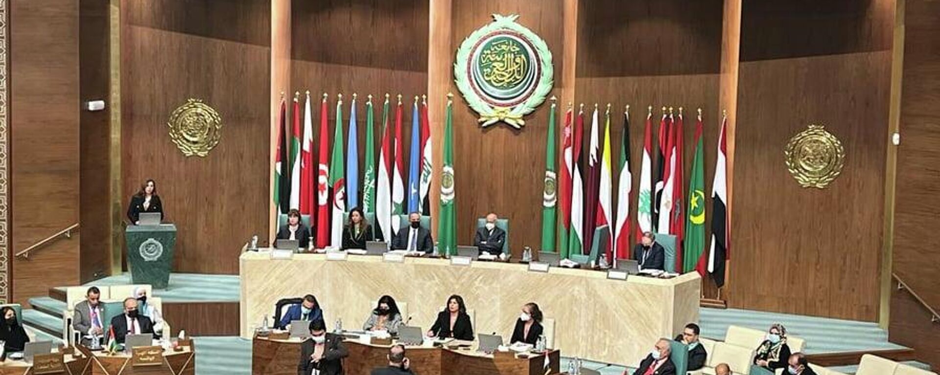 الجلسة الافتتاحية لأسبوع التنمية المستدامة، جامعة الدول العربية، 13 فبراير/ شباط 2022 - سبوتنيك عربي, 1920, 05.05.2023