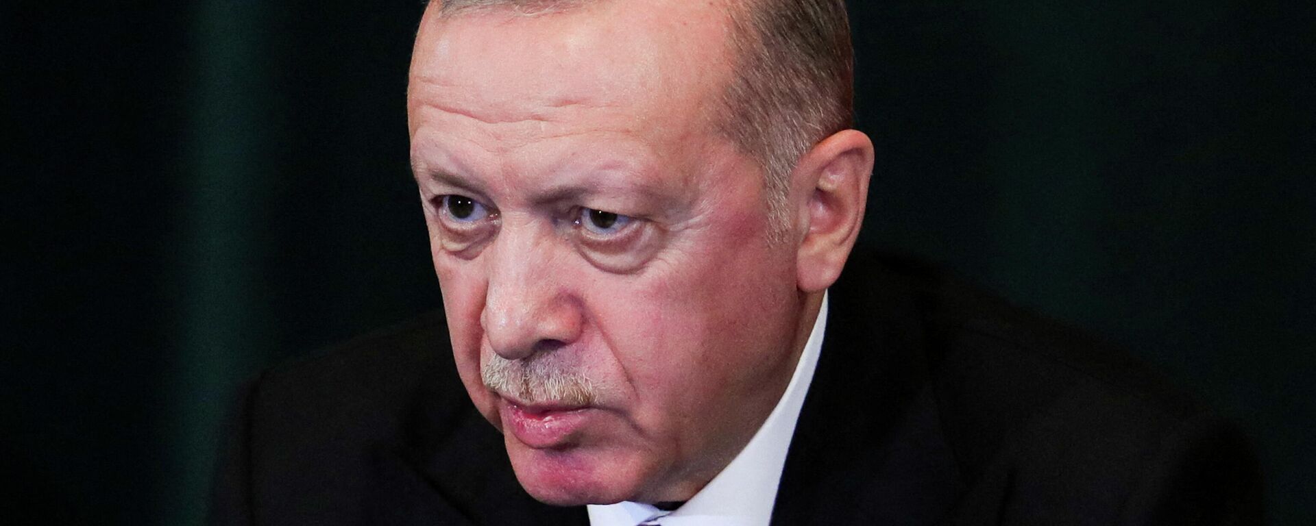 الرئيس التركي رجب طيب أردوغان - سبوتنيك عربي, 1920, 19.02.2022
