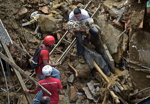 أحد السكان ينقذ كلبًا بعد الانهيار الطيني في بتروبوليس، البرازيل، 16 فبراير 2022 - سبوتنيك عربي