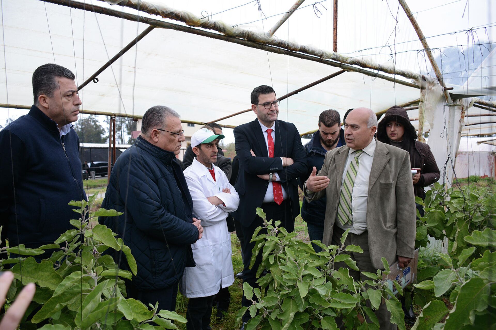 وزير الزراعة اللبناني لـسبوتنيك: كل أقماحنا من روسيا وأوكرانيا.. ونبحث عن بدائل - سبوتنيك عربي, 1920, 19.03.2022
