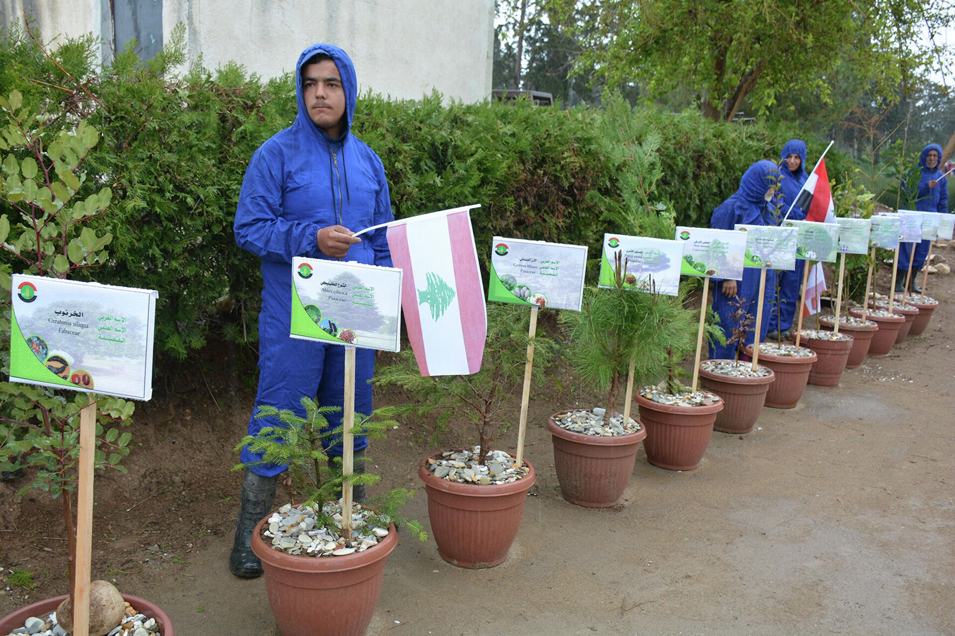 وزير الزراعة اللبناني لـسبوتنيك: كل أقماحنا من روسيا وأوكرانيا.. ونبحث عن بدائل - سبوتنيك عربي, 1920, 19.03.2022