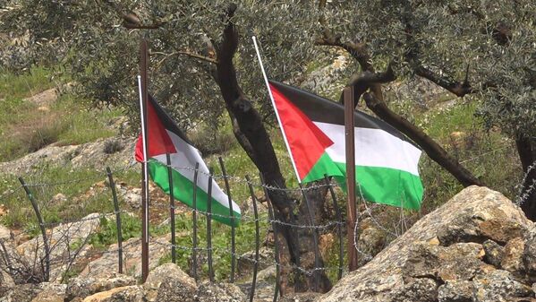 مواجهات بين فلسطينيين وقوات الجيش الإسرائيلي في بلدة دجن شمالي الضفة الغربية - سبوتنيك عربي