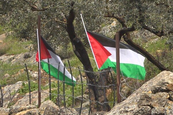 مواجهات بين فلسطينيين وقوات الجيش الإسرائيلي في بلدة دجن شمالي الضفة الغربية - سبوتنيك عربي