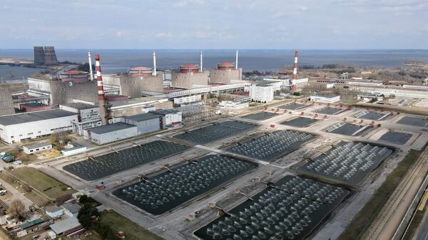 حوض تبريد محطة زاباروجيه النووية، أوكرانيا 5 أبريل 2022 - سبوتنيك عربي