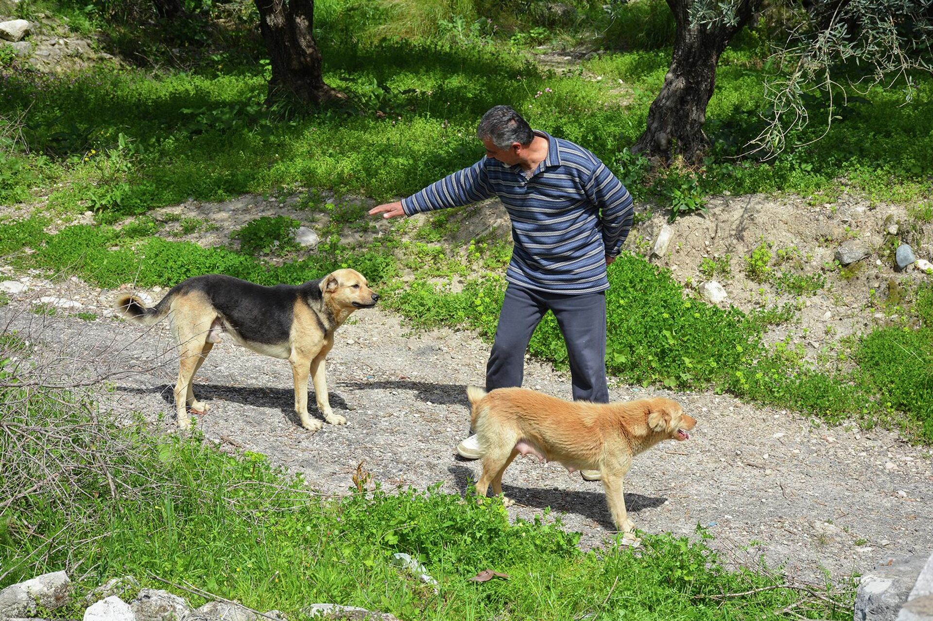 تحاكي بلاد العجائب.. أًصغر جزيرة في الشرق الأوسط تقطنها 7 عائلات سورية - سبوتنيك عربي, 1920, 11.04.2022