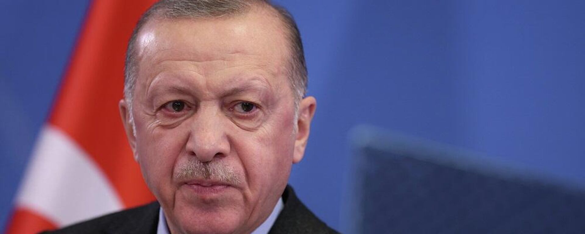 الرئيس التركي، رجب طيب أردوغان - سبوتنيك عربي, 1920, 26.11.2022