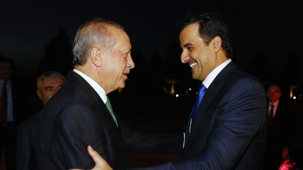 أمير قطر، الشيخ تميم بن حمد آل ثاني والرئيس التركي، رجب طيب أردوغان - سبوتنيك عربي