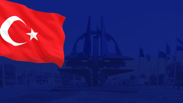 تاريخ تركيا في الناتو وأهميتها العسكرية - سبوتنيك عربي